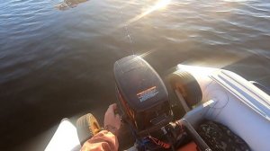 Монстры на эхолоте, как выглядят подъемы сома. Настройка эхолота. Рыбалка в деталях...