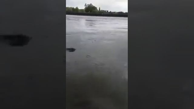 Рыбалка смотреть онлайн