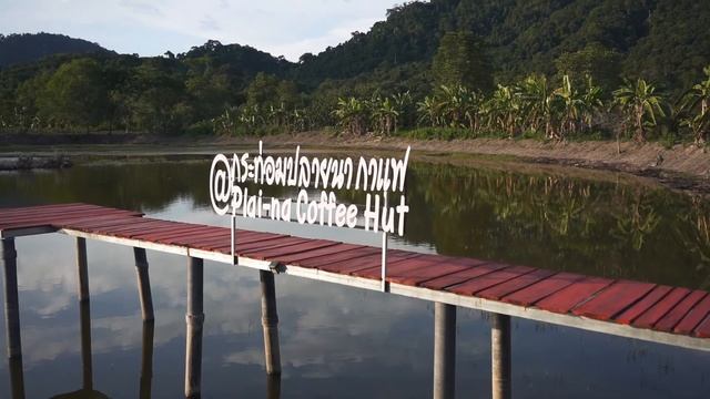 Part 12. Карантин на острове в Тайланде | Мангровые леса смотреть онлайн