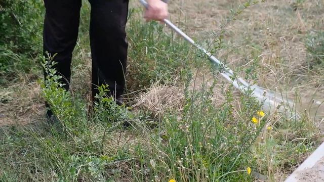 В Улан-Удэ зацвела яблоневая аллея смотреть онлайн