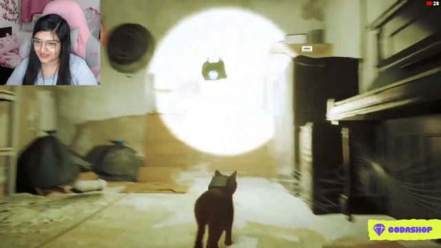 Finally I become a cat | Stray Live Stream | [82/100 Members] !codashop смотреть онлайн