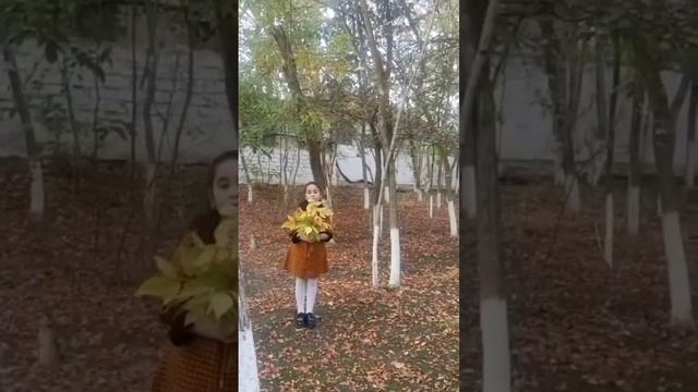 Стих Листопад написал Иван Бунин смотреть онлайн