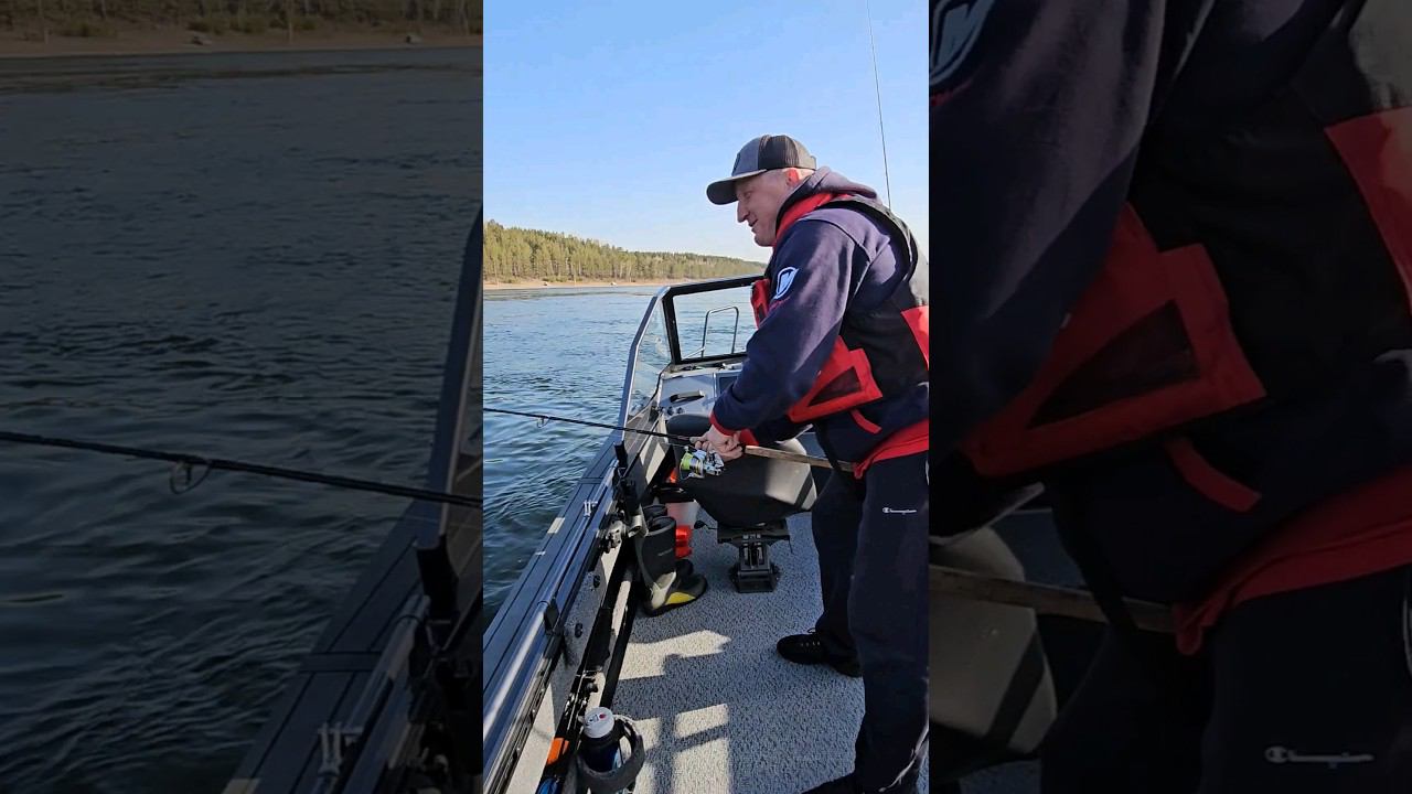 Кабан! смотреть онлайн