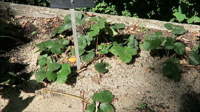 Испания: Мадрид / Spain: Madrid смотреть онлайн