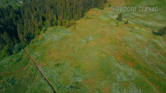 Похоже мужчина сошел с ума смотреть онлайн