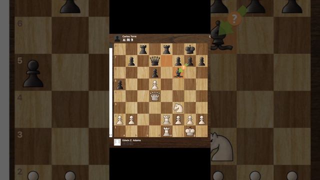 Consecutive BRILLIANT Sacrifices!! (Carlos Torre v.s. Edwin Z. Adams) #chessgame #gothamchess #ches смотреть онлайн