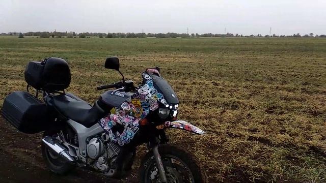 Yamaha TDM850 продам говноря смотреть онлайн