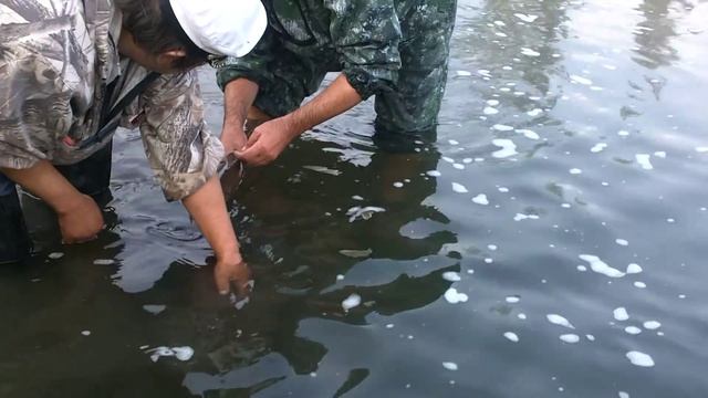 Рыбалка в Тыве ., Бий-Хем ..,Водопад. смотреть онлайн