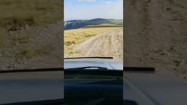 Да, да, да... Это Кавказ! ? смотреть онлайн