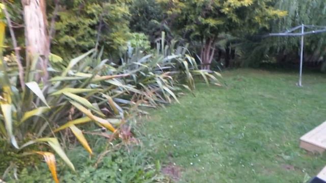 Aleksandr Udalov, Lynn Road, New Zeland, 30 декабрь 2013 смотреть онлайн