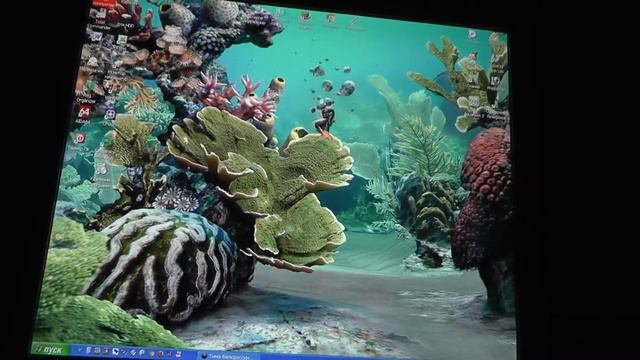 WINDOWS XP. Живой 3D-аквариум на рабочем столе. Браузер PALEMOON. Ю-ТУБ на ХРюше 2020 год. смотреть онлайн