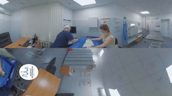 Виртуальный тур по ветеринарной клинике | BlackVR
