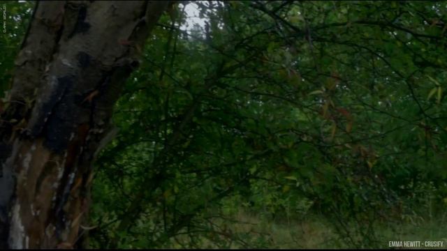 Emma Hewitt - Crusify