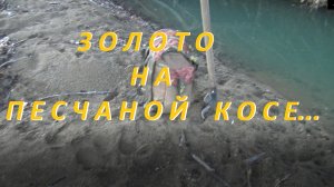 Золото на песчаной Косе!