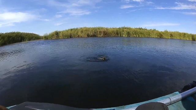 Ловля щуки на Воблеры! Рыбалка на спиннинг с лодки! Рыбалка 2020. смотреть онлайн