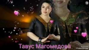 Тавус Магомедова "Мой Леопард" ( Бомбовая Новинка ) Аварские песни 2023 Года ???