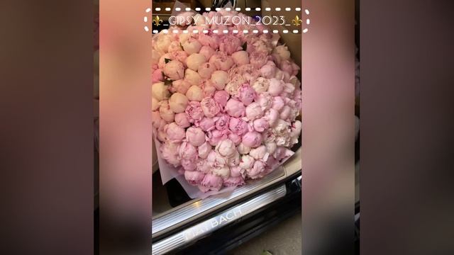 Полька Ярмаш ростовский смотреть онлайн