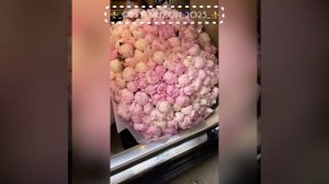 Полька Ярмаш ростовский