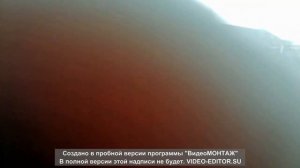 Самодельный глушитель на Т25