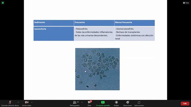TP19 UT6 27/10/21 смотреть онлайн
