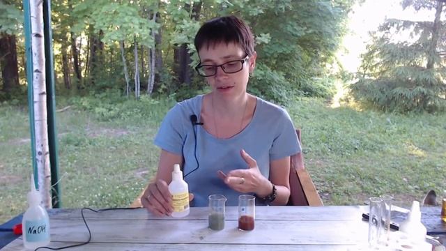 Получение и превращения гидроксидов железа Fe(OH)2 и Fe(OH)3 смотреть онлайн