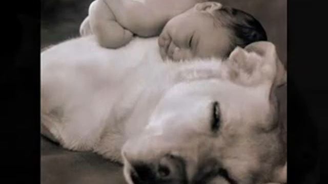 Goran Bregovic- Lullaby. смотреть онлайн