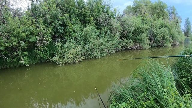 Астраханская пойма .. В поисках линя)) смотреть онлайн