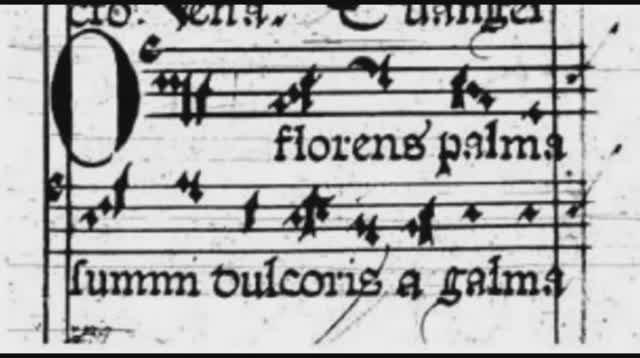 O florens palma