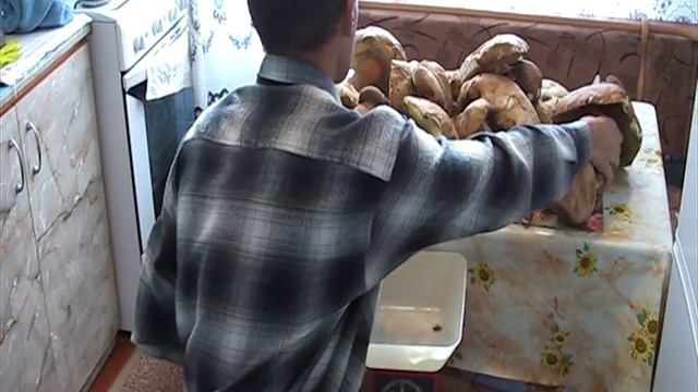 За грибами. смотреть онлайн