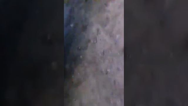 SUbaru Forester Xt With Antilag