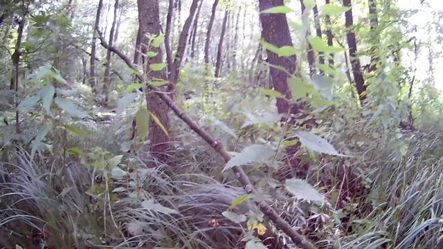 ТРОФИ-РЕЙД «Стаханов-трофи» смотреть онлайн