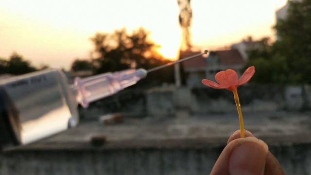 Mobile Photography Ideas and Hacks To Go Viral On Instagram |Creative Photography Ideas смотреть онлайн