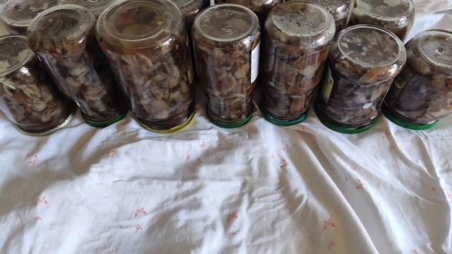 мариную опята на зиму/все легко смотреть онлайн
