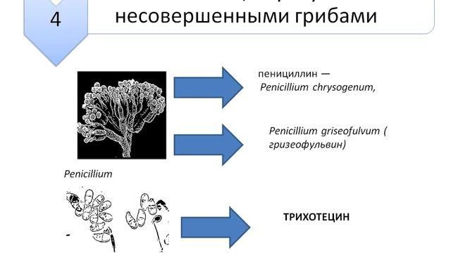 История создания антибиотиков и их классификация