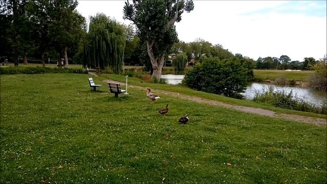 Французы ее не едят!!/Отвечаю 