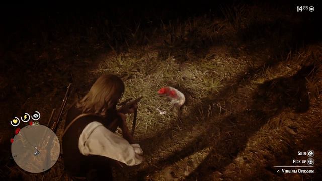 Master Hunter Challenge 9: Catch an Opossum playing possum #RDR2 #Story смотреть онлайн