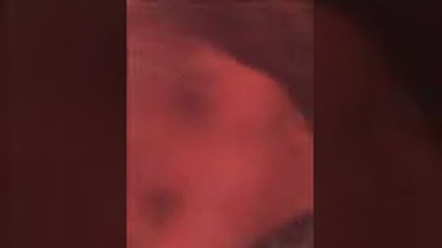 Идём в комнату смеха(туалет). смотреть онлайн