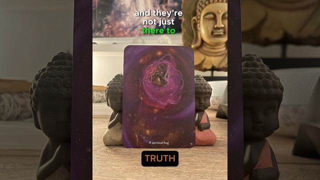 Your oracle card of the day - A spiritual hug смотреть онлайн
