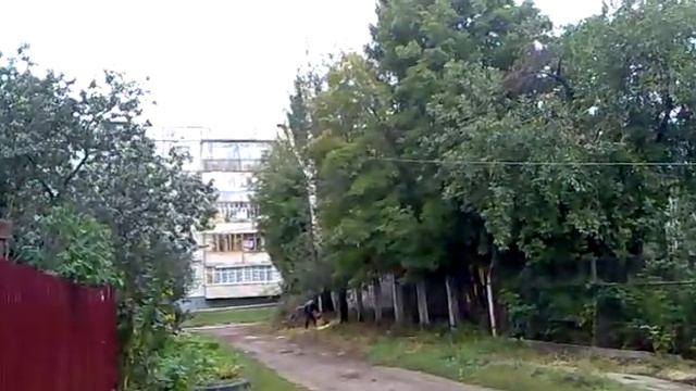 валим березу смотреть онлайн