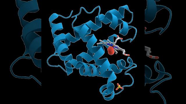 Protein | Wikipedia audio article смотреть онлайн