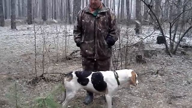 Нагонка 28.03.2016 смотреть онлайн