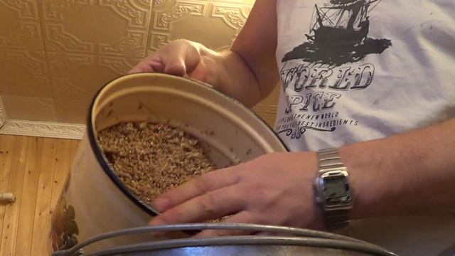 Кормим кур пророщенной пшеницей и тыквой смотреть онлайн