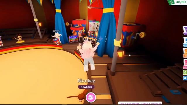 ОБЕЗЬЯНЫ В АДОПТ МИ?!Обновление в Адопт Ми!/Adopt Me Roblox смотреть онлайн