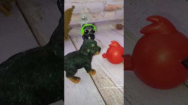 развлекательный контент