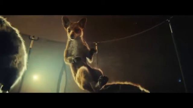 John Lewis Christmas Advert 2016 #BusterTheBoxer смотреть онлайн
