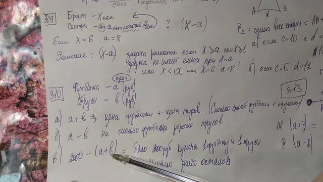 308, 309, 310, 311, 312, 313 Математика 5 класс. Решаем разные Задачи смотреть онлайн