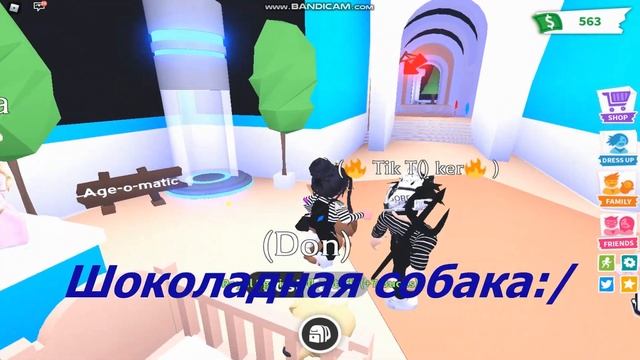 Как выбить легу?? Купил 7 королевских яиц ? Adopt me! ? смотреть онлайн