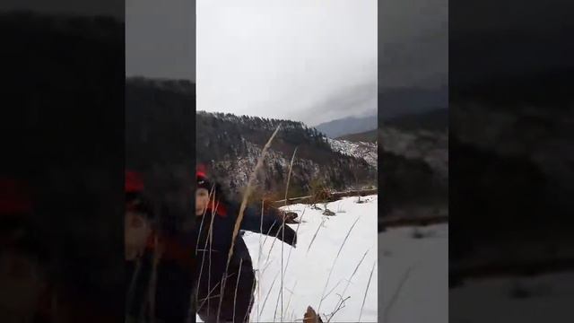 Горы в Карпатах, и тд... смотреть онлайн