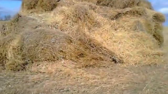 Т-150+Волокуша смотреть онлайн