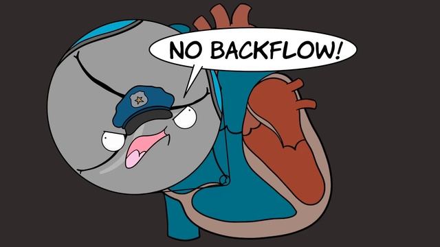 Circulatory System and Pathway of Blood Through the Heart.mp4 смотреть онлайн